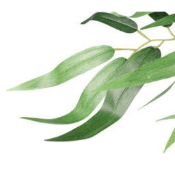 120Cm (4Ft) Fat Leaf Artificial Bamboo Plants Trees - Xl - thumbnail 3