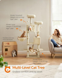Large Cat Condo, Tall With Scratching Posts And Ramp, Multi-Level Cat Tower For Indoor Cats, Beige