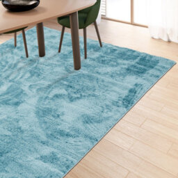 Homeart Soft Area Rugs, Anti-Slip, Machine Washable Fluffy Carpet For Living Room Bedroom Kitchen, Turquoise, 120X170 Cm - thumbnail 9