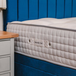 Divan Base Direct Sophia Briar-Rose Noemie 1000 Pocket Sprung Natural Cotton Tencel Divan Bed Set 3Ft Single 2 Drawers Side - Plush Marine - thumbnail 2
