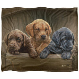 Wild Wings Silky Puppies Supersoft Blanket Brown/black (One Size) - thumbnail 1