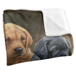 Wild Wings Silky Puppies Supersoft Blanket Brown/black (One Size) - thumbnail 3