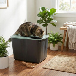 Urbn-Living Urbnliving Large Plastic Pet Cat Litter Bucket Box Enclosure Container Toilet With Vented Lid - thumbnail 2