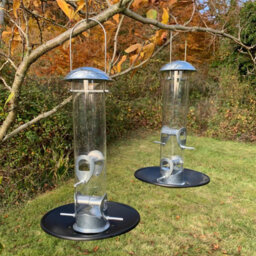 Selections Heavy Duty Metal Bird Seed Feeder With Seed Catcher Tray (Set Of 2)