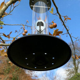 Selections Heavy Duty Metal Bird Seed Feeder With Seed Catcher Tray (Set Of 2) - thumbnail 5