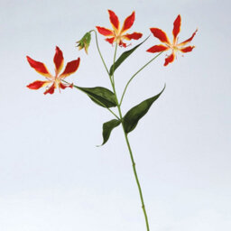 Bloom Artificial Single Gloria Lily Flower Stem - Faux Fake Silk Flower Indoor Home Decoration Floral Arrangements - L75Cm - thumbnail 3