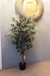 Leaf Artificial 130Cm Tall Variegated White/green Bushy Ficus Tree - thumbnail 2