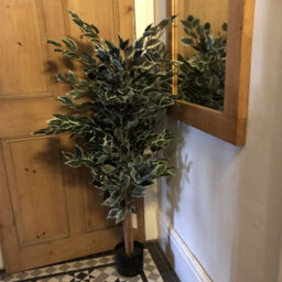 Leaf Artificial 130Cm Tall Variegated White/green Bushy Ficus Tree - thumbnail 5