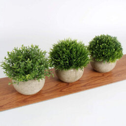 3 Pack Artificial Plants In Grey Pots, 9.5 X 13 Cm, For Living Room, Balcony, Bedroom, Table Decoration - thumbnail 7