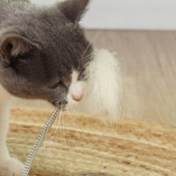 Pawhut Cat Scratcher, 5-In-1 Sisal Post With Interactive Toy 49Cm Oak Tone - thumbnail 9