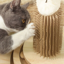 Pawhut Cat Scratcher, 5-In-1 Sisal Post With Interactive Toy 49Cm Oak Tone - thumbnail 8