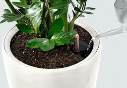 75Cm Tall Planter, White Plastic Self-Watering Large Plant Pot With Water Level Indicator Lechuza Rondo D40 H75 Cm - thumbnail 5