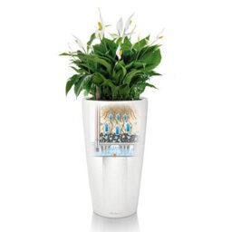75Cm Tall Planter, White Plastic Self-Watering Large Plant Pot With Water Level Indicator Lechuza Rondo D40 H75 Cm - thumbnail 3