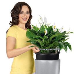 75Cm Tall Planter, White Plastic Self-Watering Large Plant Pot With Water Level Indicator Lechuza Rondo D40 H75 Cm - thumbnail 4