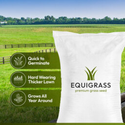 Lawns Direct™ Equigrass™ 10Kg Professional Equestrian Premium Grass Seed For Horse & Pony Paddocks No Clover - Covers 1 Acre - thumbnail 2