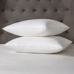 MHG Living Luxury Hotel Quality Cotton Pillow With Piped Edge Hollowfibre Filling - Pack Of 1 - thumbnail 1
