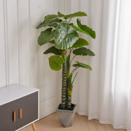 Living And Home Artificial Plant House Plant Indoor Plant Fake Tropical Tree In Black Pot 160 Cm - thumbnail 2
