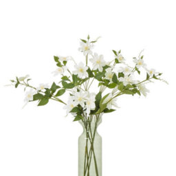 Hill Interiors Pearl Clematis Artificial Flower Spray Cream (One Size) - thumbnail 3