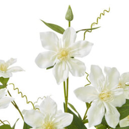 Hill Interiors Pearl Clematis Artificial Flower Spray Cream (One Size) - thumbnail 2