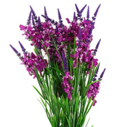 Pegdev - Pdl - Pack Of 6 Artificial Larkspur Stems 80Cm Silk Flowers In Pink For Home Or Displays