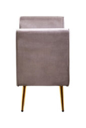 Orsina Mink Velvet Bench With Gold Finish Legs, Comfy Padded Seat Velvet Seat, Built To Last Bedroom Bench - thumbnail 5