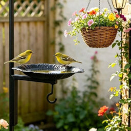 Wall Mounted Bird Feeder Hanging Plant Bracket Bird Feeding Station Yard Art - thumbnail 6