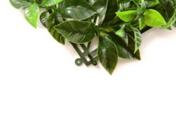 Pack Of 12 Best Artificial Laurel Leaf & Yellow Flowers Hedging Mats 50Cm X 50Cm (3 Square Metres) Privacy Garden Screen - thumbnail 4