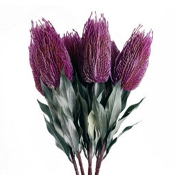 Leaf 75Cm Banksia Menziesii Pink Flower Stem Artificial - thumbnail 4