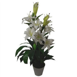 Leaf Artificial 90Cm (3Ft) Lily Stargazer Style Lillies Plant Large Flowers White