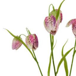 Hill Interiors The Natural Garden Collection Fritillaria Stem Artificial Flower Purple/green (One Size) - thumbnail 3