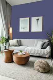 Crown Trade Vinyl Matt Walls & Ceilings Emulsion Paint Ral 290 30 25 (290 30 25) 1L - thumbnail 4