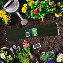 Expanding Wooden Trellis 150Cm X 30Cm - Roots & Shoots - thumbnail 4