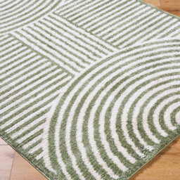 Livabliss Fossay Shaggy-Washable Beige Green Modern Hig Pile Living Bedroom Rug 160 X 213 Cm Easy Care, Non Shedding - thumbnail 6