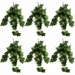 Leaf Pack Of 6 X 70Cm Artificial Trailing Grape Ivy Plant Faux Hanging Foliage - Green