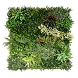 True Products Premium Artificial Green Plant Living Wall Panel 1M X 1M - Gala A - thumbnail 1