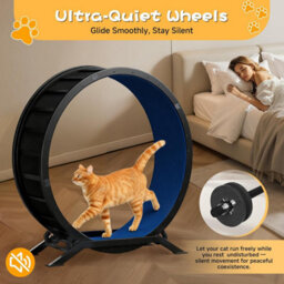 Gtplayer Cat Wheel 90 Cm Metal Large Cats Exercise Running Wheel For Indoor Cats With Teaser Removable Carpet Cat Treadmill, Blue - thumbnail 7