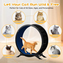Gtplayer Cat Wheel 90 Cm Metal Large Cats Exercise Running Wheel For Indoor Cats With Teaser Removable Carpet Cat Treadmill, Blue - thumbnail 6