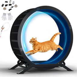 Gtplayer Cat Wheel 90 Cm Metal Large Cats Exercise Running Wheel For Indoor Cats With Teaser Removable Carpet Cat Treadmill, Blue - thumbnail 1