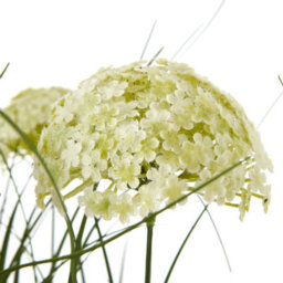 Wyld Haus 70Cm White Allium Artificial Plant (Pot Not Included) - thumbnail 2