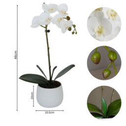 Greenbrokers Elegant Single Stem White Real Touch Artificial Potted Orchid (46Cm) In Round White Ceramic Pot - thumbnail 4