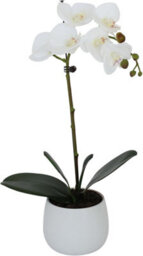 Greenbrokers Elegant Single Stem White Real Touch Artificial Potted Orchid (46Cm) In Round White Ceramic Pot