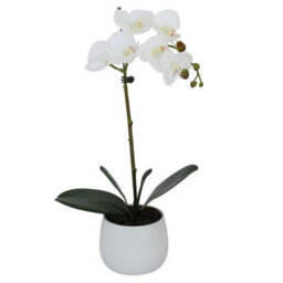 Greenbrokers Elegant Single Stem White Real Touch Artificial Potted Orchid (46Cm) In Round White Ceramic Pot - thumbnail 3