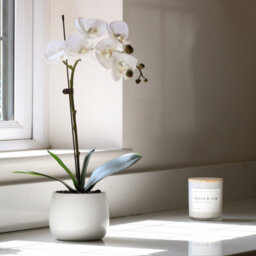 Greenbrokers Elegant Single Stem White Real Touch Artificial Potted Orchid (46Cm) In Round White Ceramic Pot - thumbnail 2