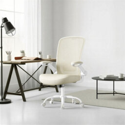 LEDREM Mesh Office Desk Chair, Ergonomic Swivel Chair, Folding Armrests, Beige - thumbnail 6
