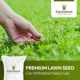 Lawns Direct™ Equigrass™ 50Kg Professional Equestrian Premium Grass Seed For Horse & Pony Paddocks No Clover - Covers 5 Acres - thumbnail 4