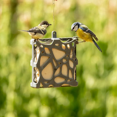 Hagens Anna Recycled Cake Bird Feeder By National Trust