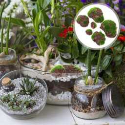 6 Pack 6 - Piece Artificial Moss Rocks, Decorative Fake Mossy Rock, Artificial Plants, Assorted Sizes - thumbnail 4