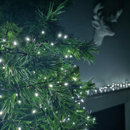 Premier - 3000 Led Multi Action Treebrights With Timer - White/green - thumbnail 9