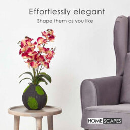 Homescapes Artificial Cream & Pink Handcrafted Phalaenopsis Orchid With Natural Base, 60 Cm - thumbnail 6