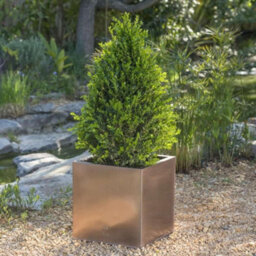 Primrose Frost And Rust-Resistant Outdoor Zinc Square Cube Planter In A Copper Finish 60Cm - thumbnail 2